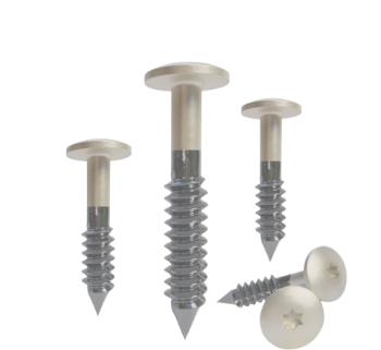 rvs-torx-schroef-grijswit-ral-9002-4-8x38mm-doos-à-100-stuks-incl-t20-bit-removebg-preview