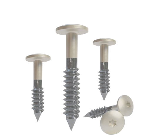 rvs-torx-schroef-grijswit-ral-9002-4-8x38mm-doos-à-100-stuks-incl-t20-bit-removebg-preview